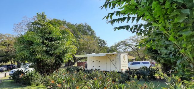 Casamento-em-Cedral_SP-1